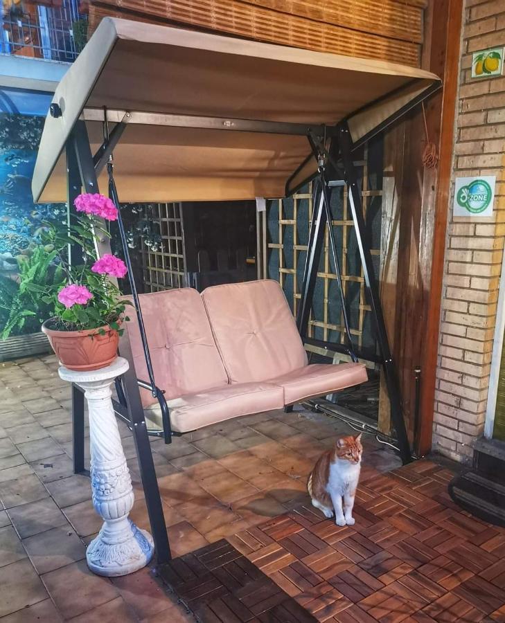 Guest House Il Limone Nascosto โรม ภายนอก รูปภาพ